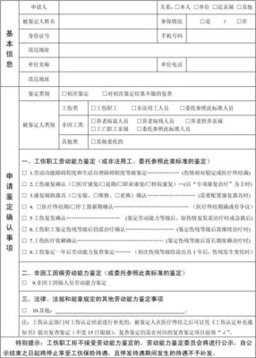 工伤劳动能力鉴定