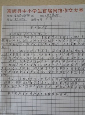 我参加什么比赛作文怎么写