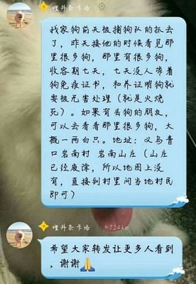 家犬管理条例