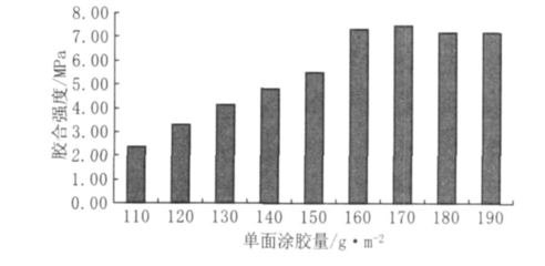 杉木叶子的功效与作用