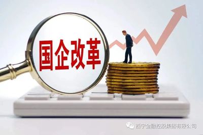 国企法人