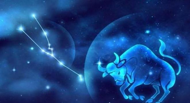 世界星座