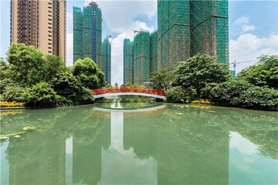 河畔花园物业电话
