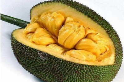 孕妇可以吃木菠萝吗