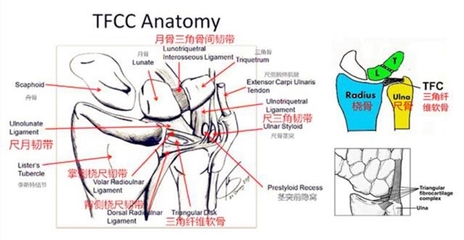 容易不耐烦的人性格