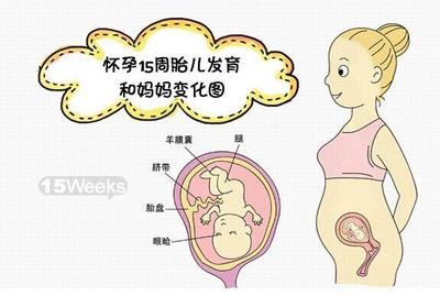 怀孕4个月宝宝多大