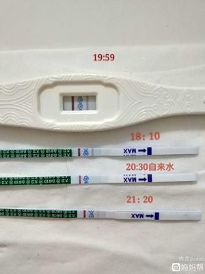月经和排卵期区别