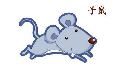 鼠宝宝好不好