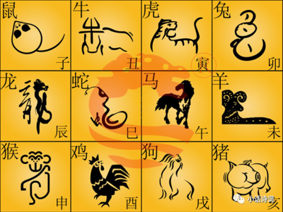 生肖纪年