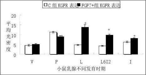烤瓷牙破了个洞能补吗