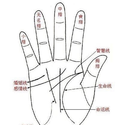 双婚姻线代表什么意思
