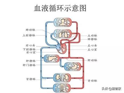 手脚麻涨是怎么回事