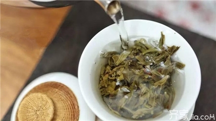 生茶怎么泡