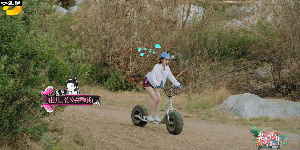 花儿与少年骑的什么车
