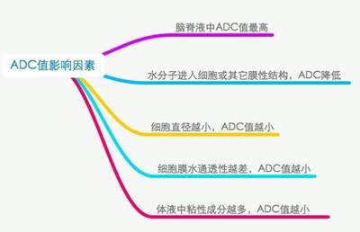 金宝莱橱柜老板