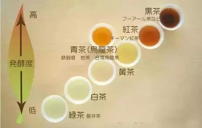 茶的品种