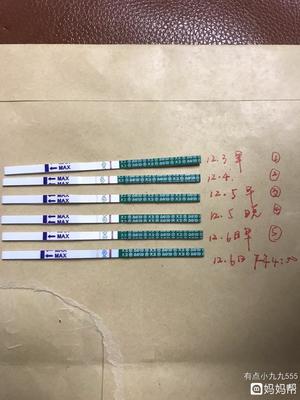 试纸 怀孕