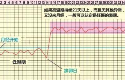 停经后几天是排卵期