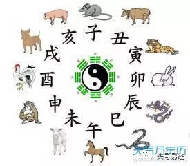 属相怎么划分