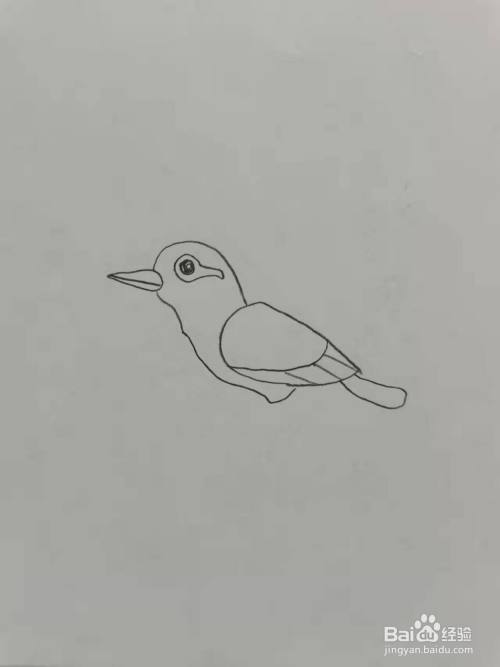小鸟怎么画又简单图片大全集