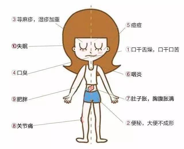 湿气大是怎么回事