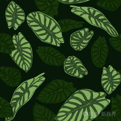 植物变形图案设计