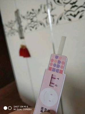 排卵期吃了避孕药还会怀孕吗