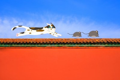 梦见被老鼠咬手