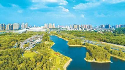 武汉临空港