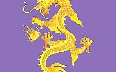 男属龙的和什么属相最配