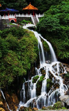 野柳风景区 攻略