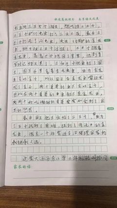 介绍鱼四百字作文怎么写