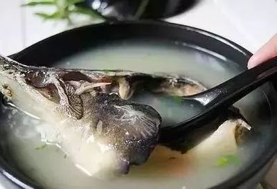 鲟鱼粥的做法大全家常做法