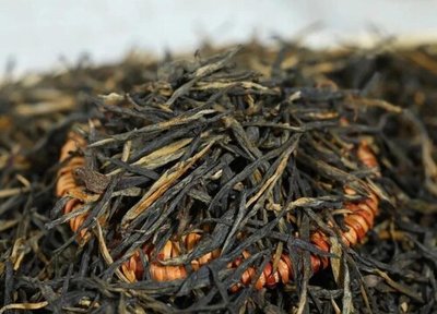 红茶有哪些品种排名