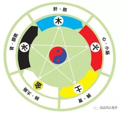 易字五行