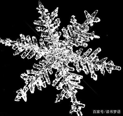 怎么样形容鹅毛大雪