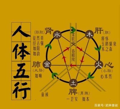 如属于五行中的什么
