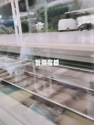 做梦没有赶上火车