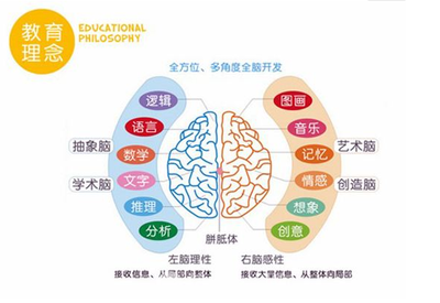 国际新人脑发布全脑教育四维理论