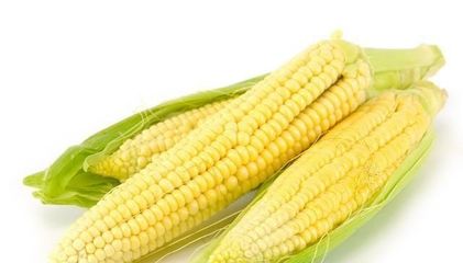 怀孕吃玉米