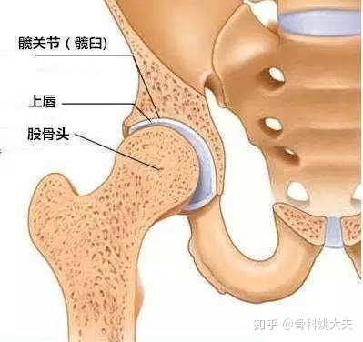 怀孕股骨头疼怎么回事