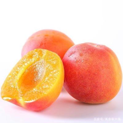 酸杏子怎么才会甜