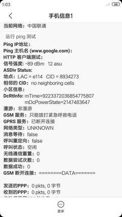 4g ip地址