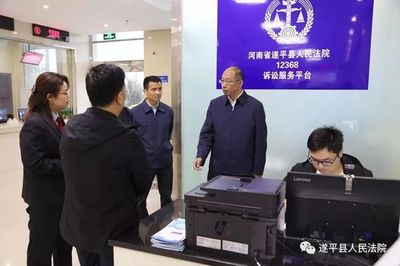 河南法院诉讼服务