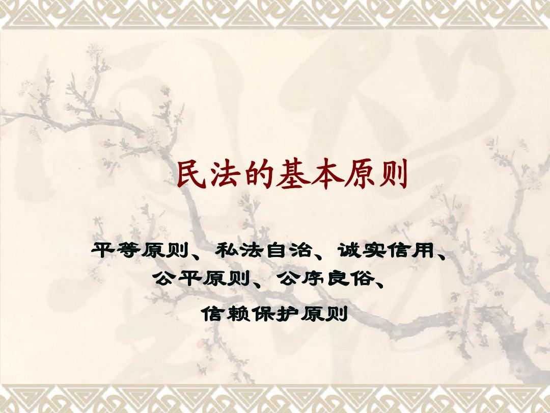 民事基本原则