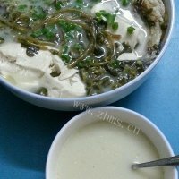 马齿苋和豆腐能同吃吗
