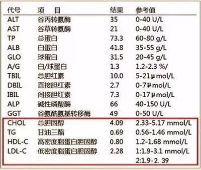 谷转氨酶高是怎么回事