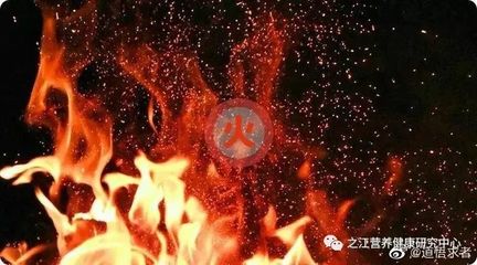 冲五行属什么