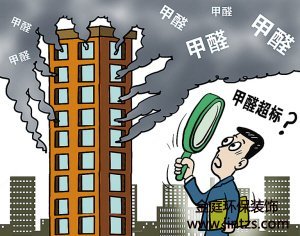 房子除甲醛最有效办法