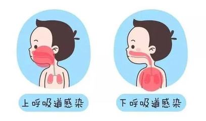 一咳嗽有痰是什么原因